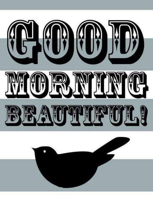 Good Morning Beautiful With Bird