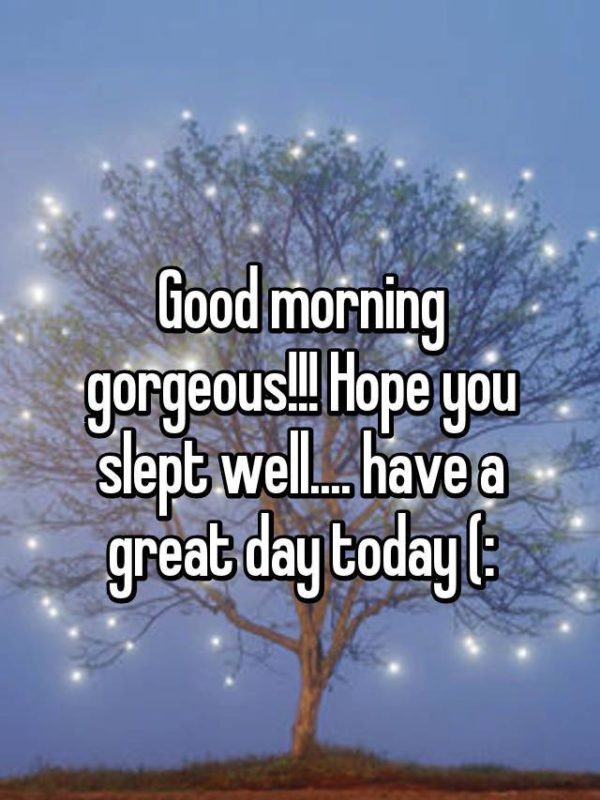 Good Morning Gorgeous Hope You Slept Well