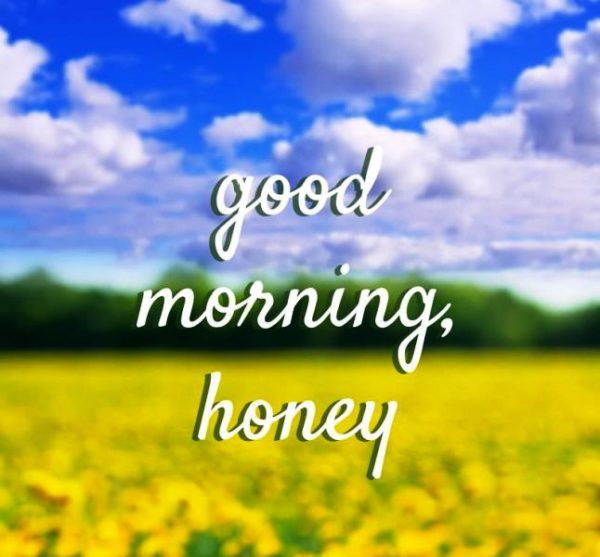 Good Morning Honey Picture
