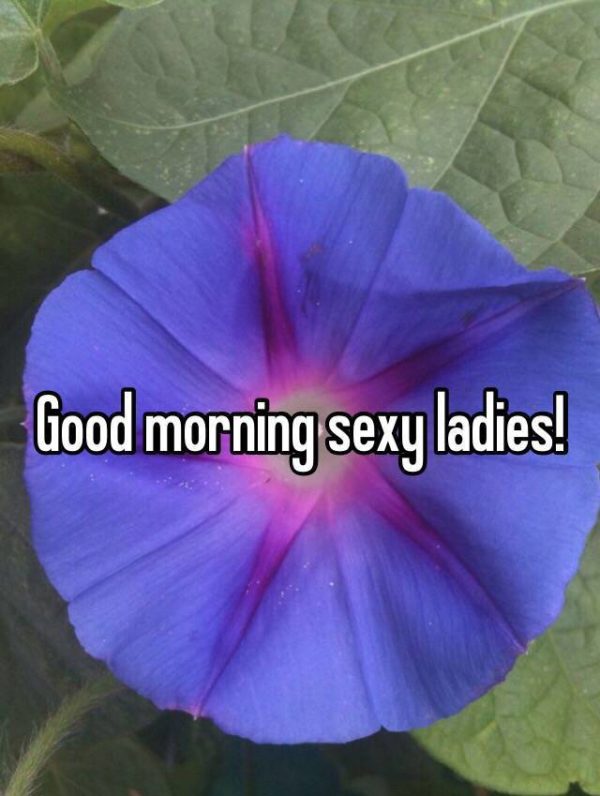 Good Morning Sexy Ladies