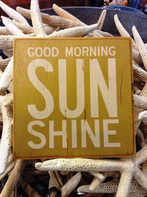 Good Morning Sun Shine