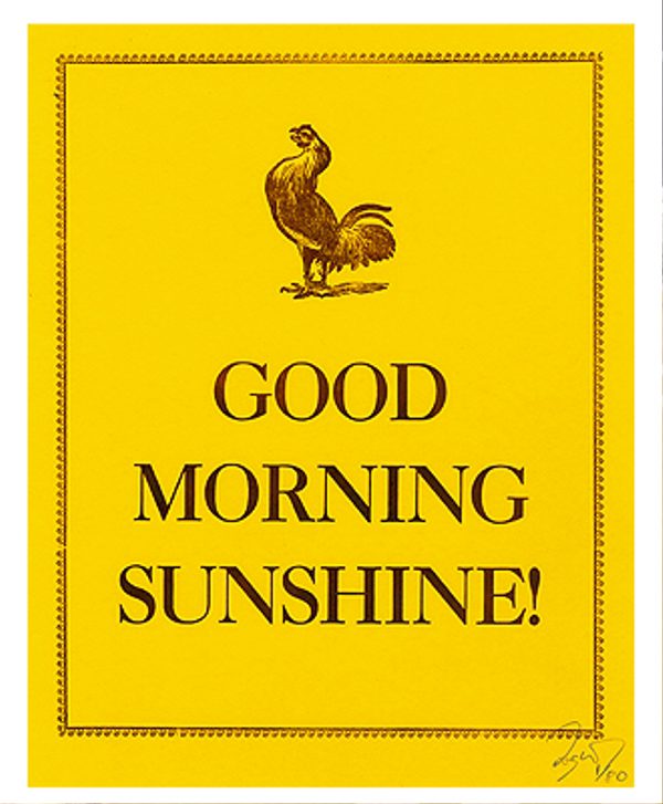 Good Morning Sunshine Cock