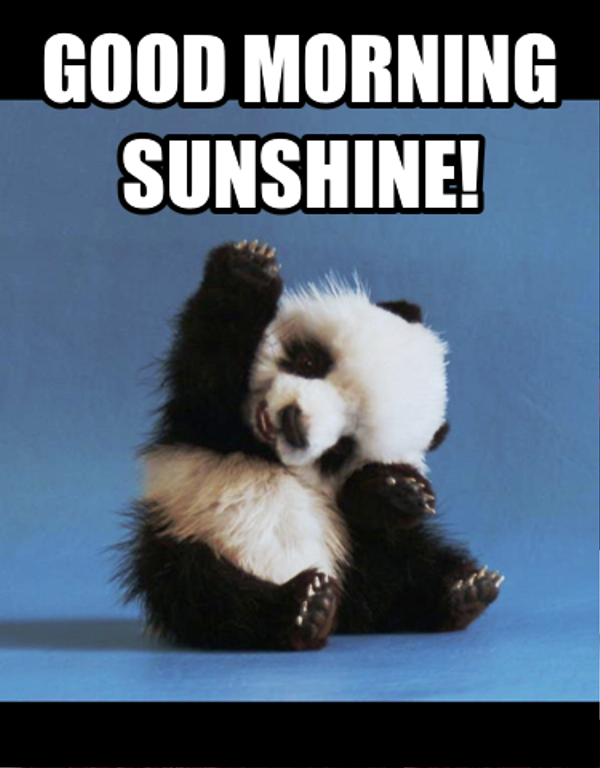 Good Morning Sunshine With Panda