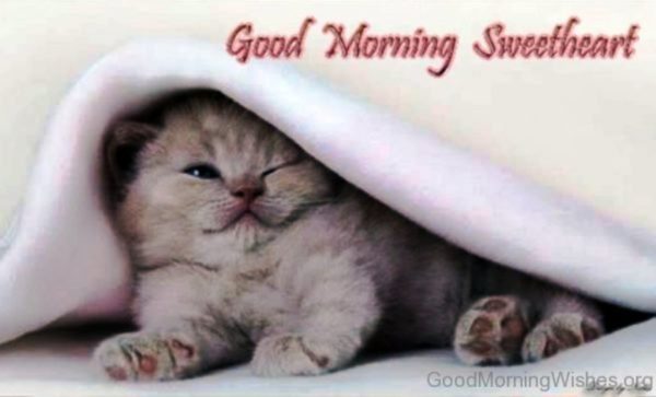 Good Morning Sweetheart With Cute Kitty