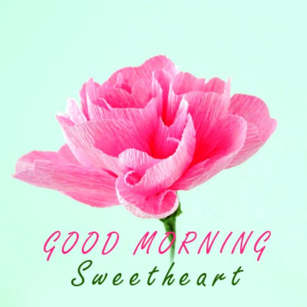 Good Morning Sweetheart With Pink Flower