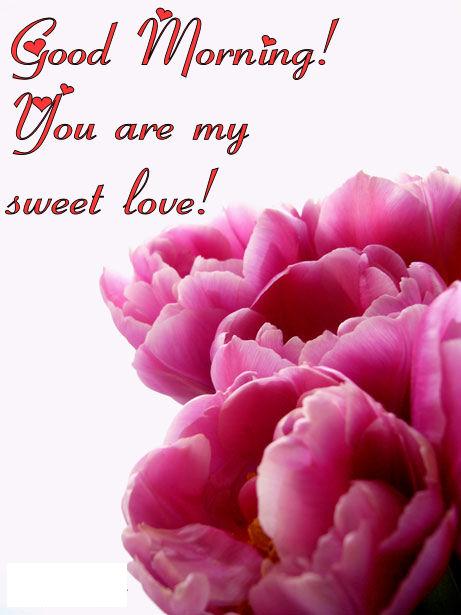 Good Morning You Are My Sweet Love