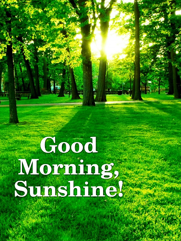 Green Good Morning Sunshine
