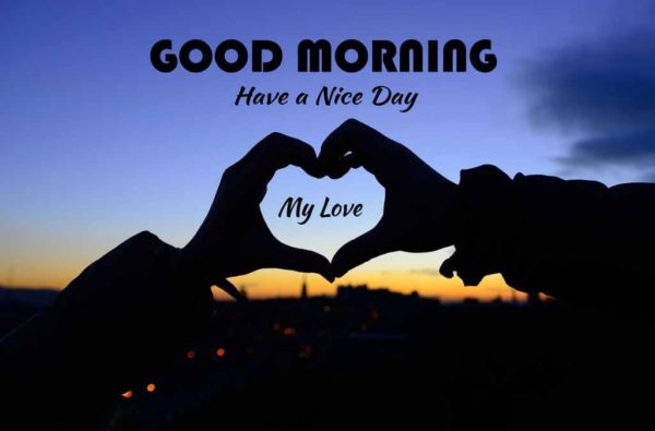 Good Morning My Love Have a Nice Day