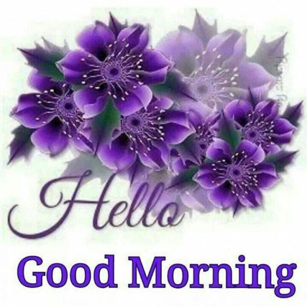 Hello Good Morning Flowers Image