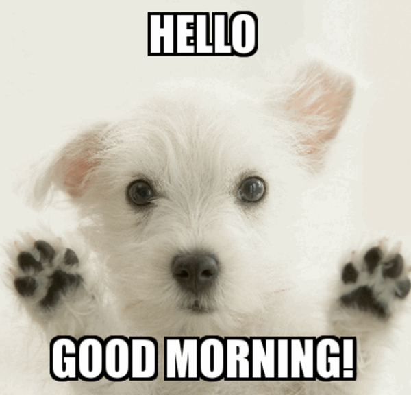 Hello Good Morning With Puppy