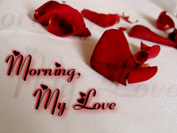 Morning My Love