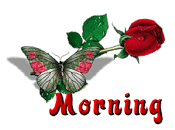 Morning With Rose And Butterfly