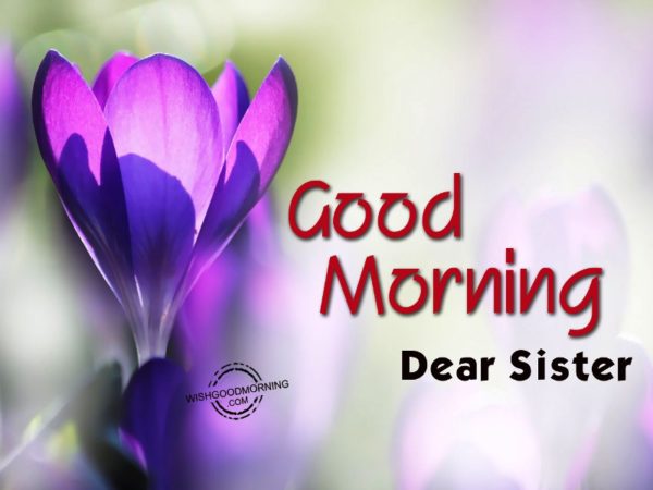 Good Morning Dear Sister