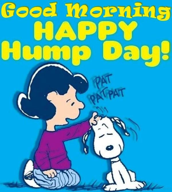 Good Morning Happy Hump Day