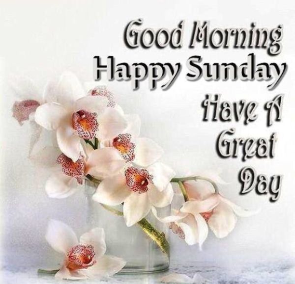 Good Morning Happy Sunday