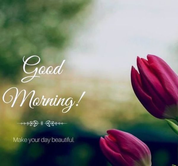 Good Morning Make Your Day Beautiful