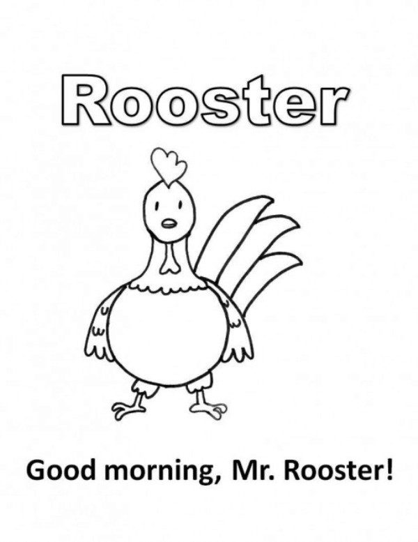 Good Morning Mr Rooster