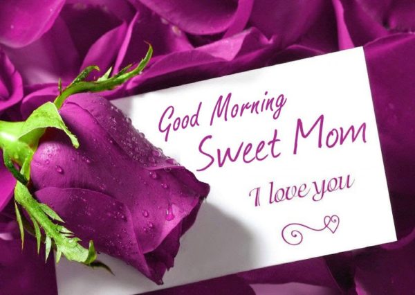 Good Morning Sweet Mom I Love You