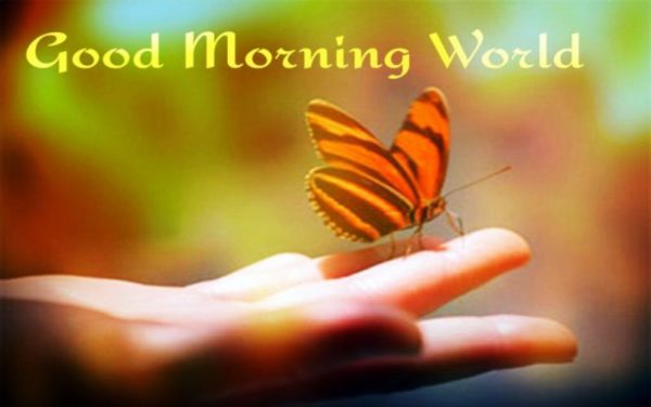 Good Morning World With Butterfly