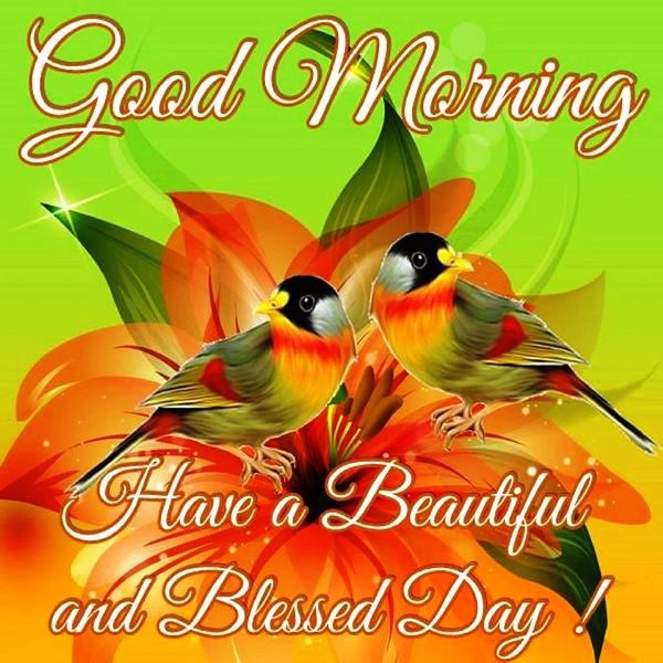 Have A Beautiful And Blessed Day