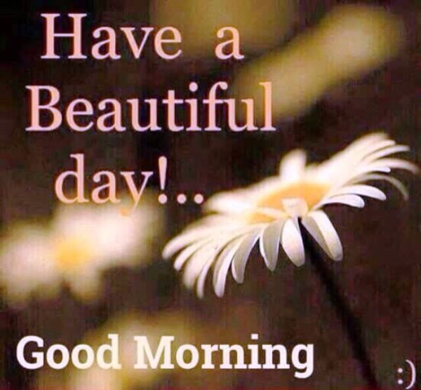 Have A Beautiful Day