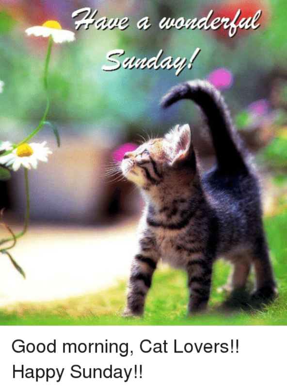 Have A Wonderful Sunday