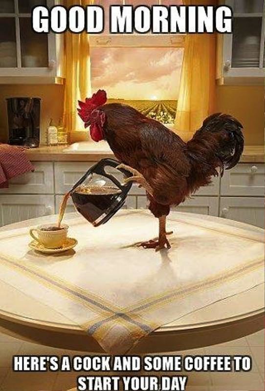 Heres A Cock And Some Coffee