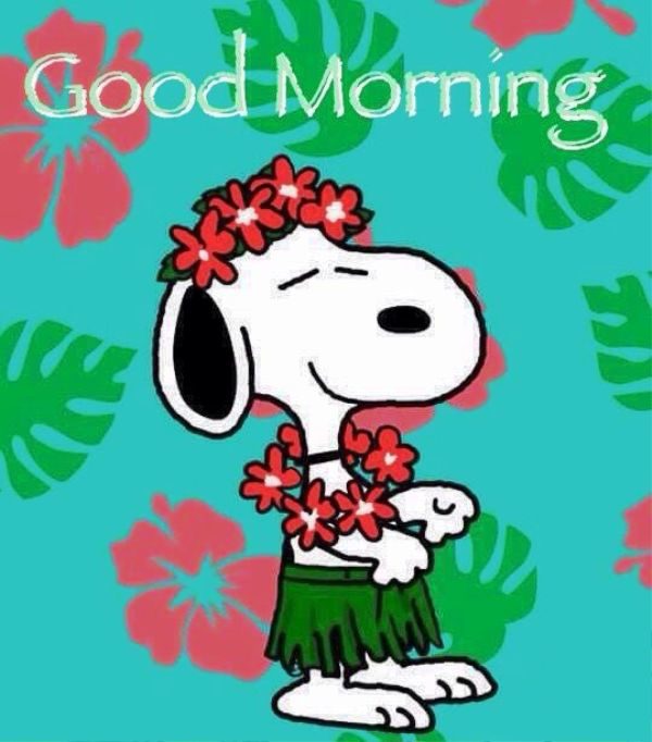 Hola Snoopy Good Morning