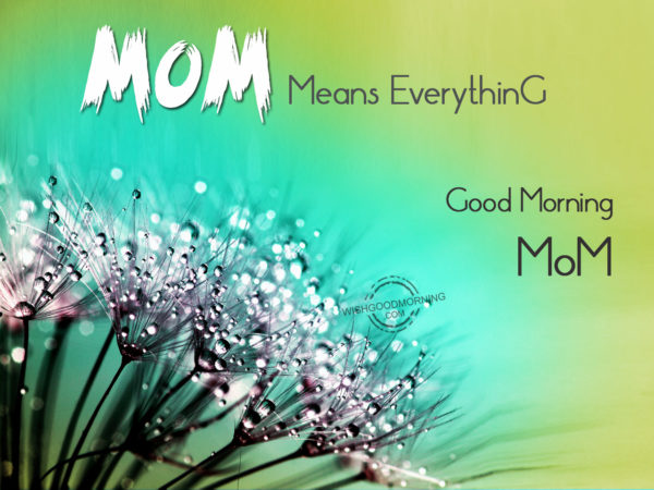 Mom Means Everything