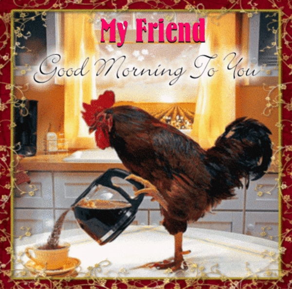 My Friend Good Morning To You