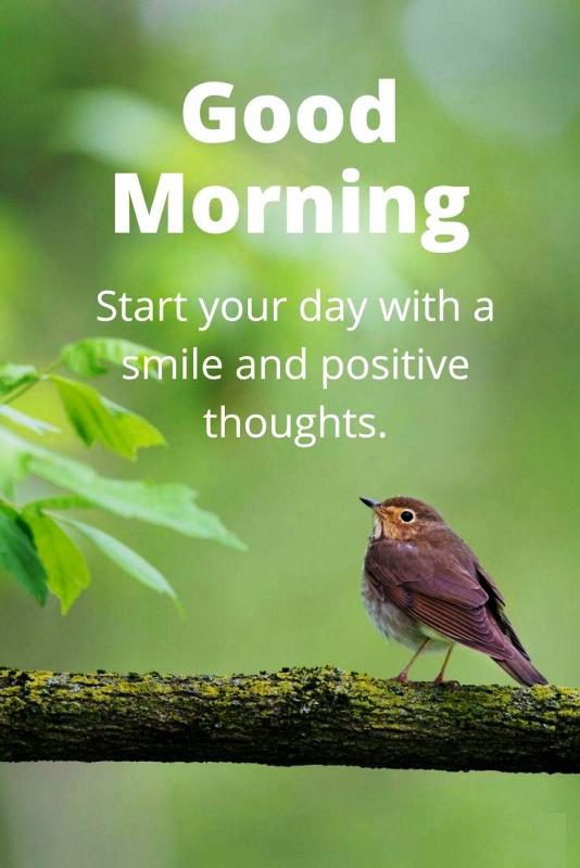 Start Your Day With A Smile And Positive