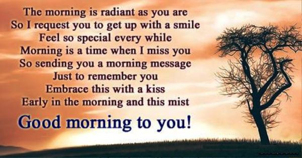 The Morning Is Radiant As You Are