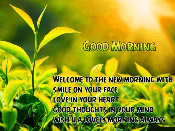 Welcome To The New Morning With Smile