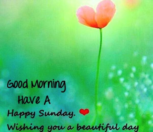 Wishing You A Beautiful Day