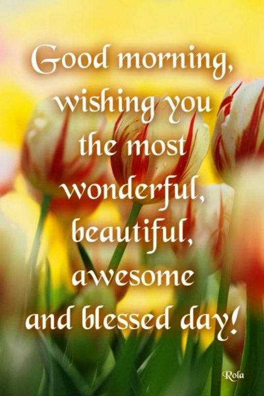 Wishing You The Most Wonderful Beautiful Day