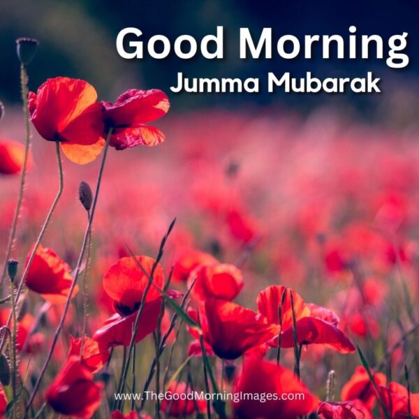 Assalamualaikum Jumma Mubarak Good Morning