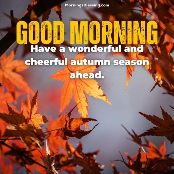 Autumn Good Morning Image