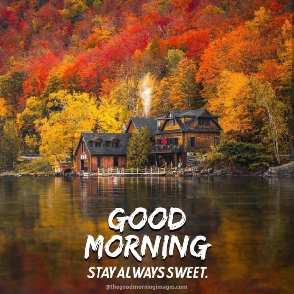 Autumn Good Morning Photo