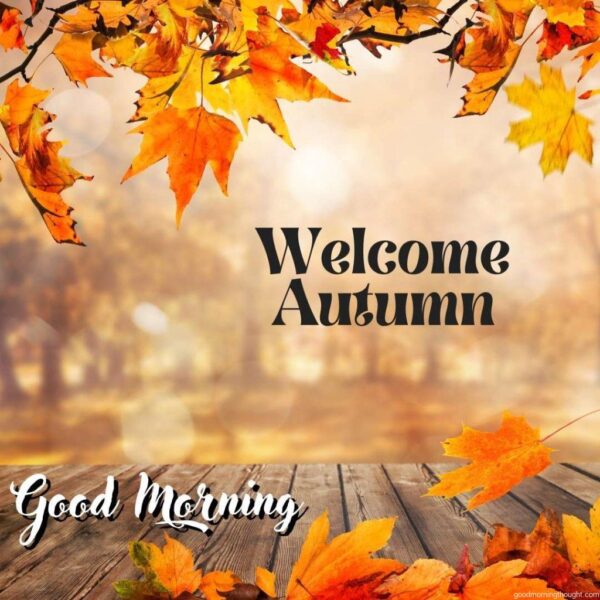 Beautiful Autumn Good Morning Images