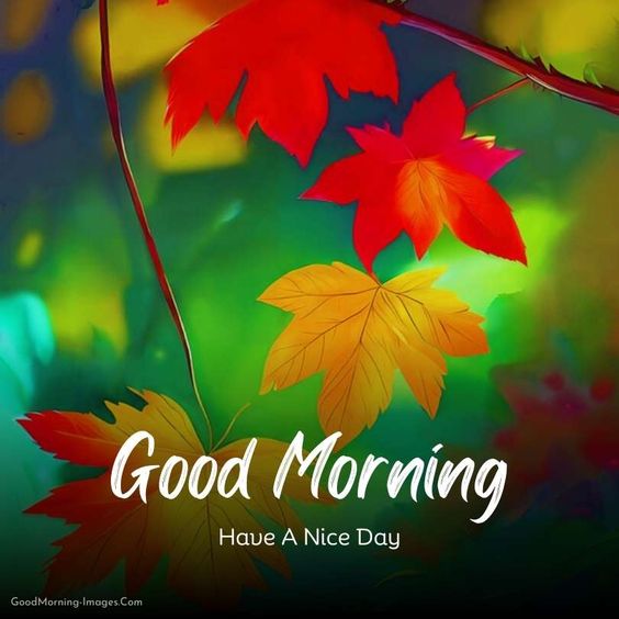Beautiful Autumn Good Morning Have A Nice Day