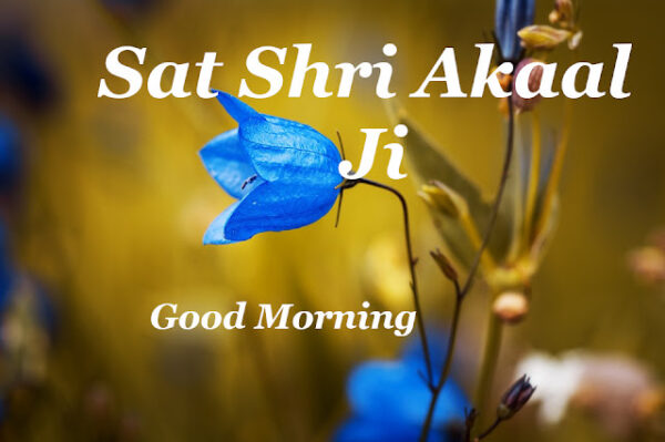 Bellflower Sat Sri Akal Good Morning