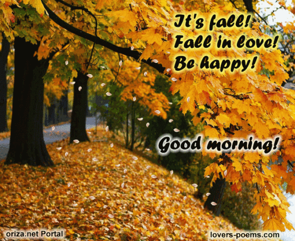 Good Morning Fall