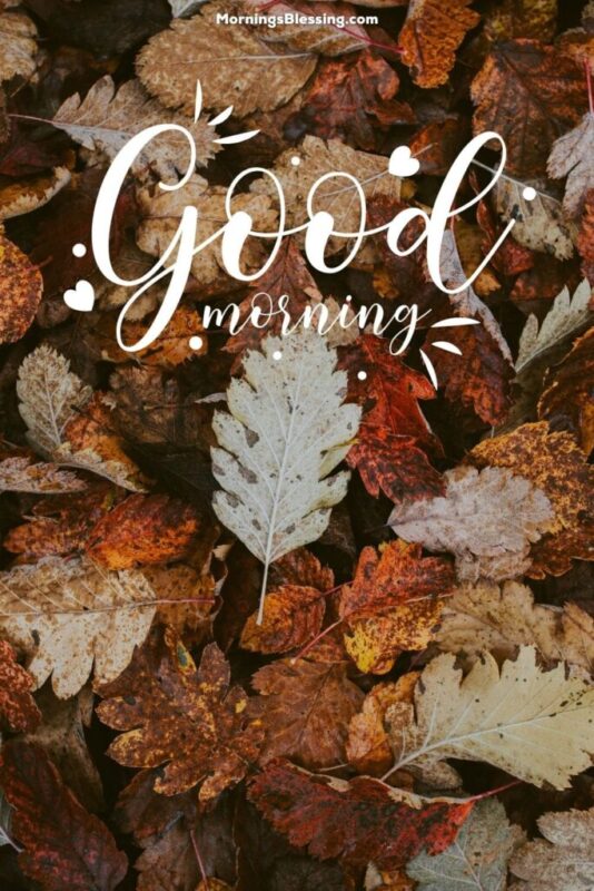 Good Morning Fall Autumn