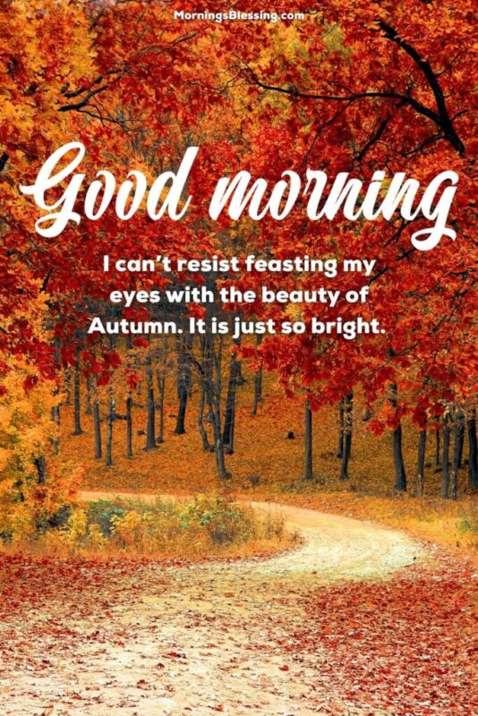 Good Morning Fall Autumn Image