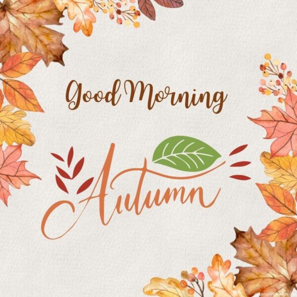 Textured Wall Background Autumn Good Morning