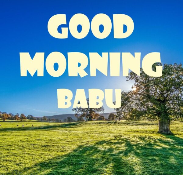 Wonderful Good Morning Babu Photo