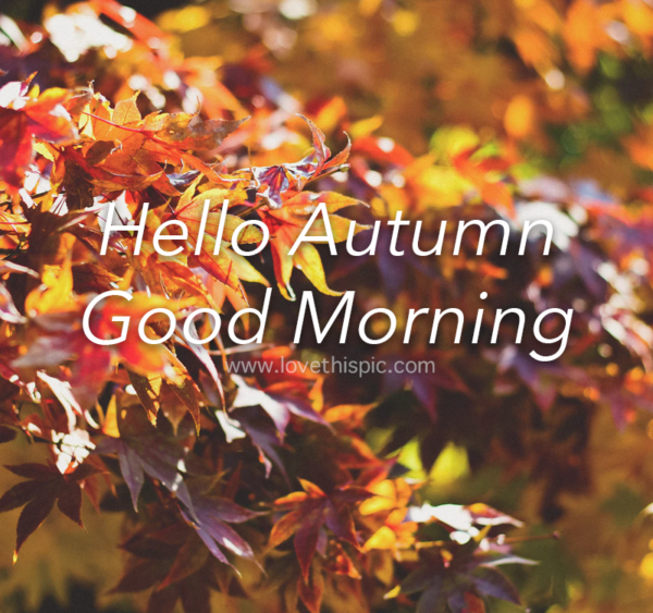 Hello Autumn Good Morning