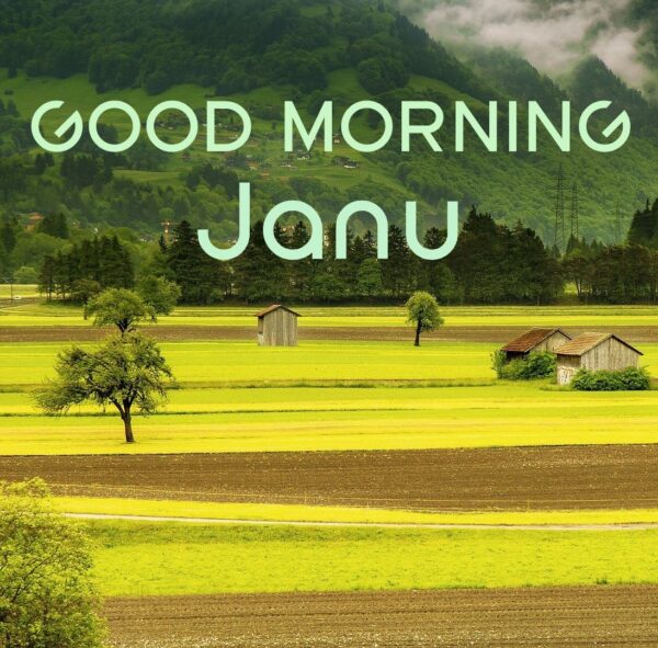 Amazing Good Morning Jaanu Have A Nice Day Picture