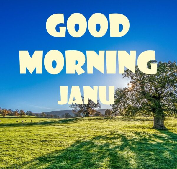 Amazing Good Morning Jaanu Photo