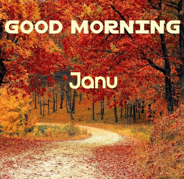 Amazing Good Morning Jaanu Pic
